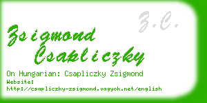 zsigmond csapliczky business card